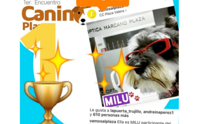 POR TODO LO ALTO SE CELEBRÓ EL 1ER. ENCUENTRO CANINO PLAZA EN VALERA