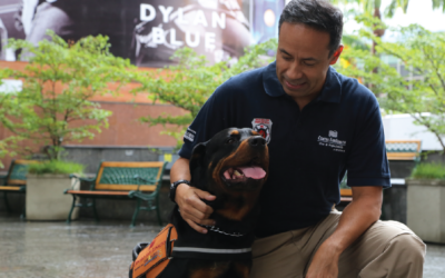 TEMPORADA DE DESCUENTOS VUELVE A CENTRO SAN IGNACIO (VITRI-SHOP)