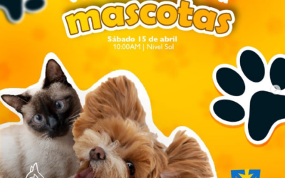 BARQUISIMETO: JORNADA DE VACUNACIÓN PARA MASCOTAS