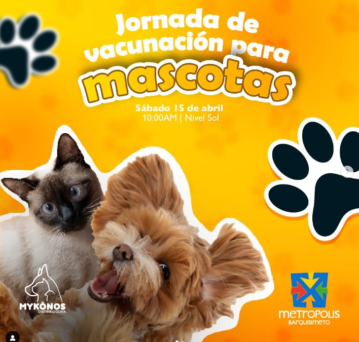 BARQUISIMETO: JORNADA DE VACUNACIÓN PARA MASCOTAS