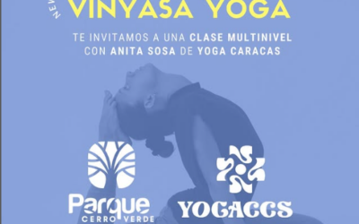 NEW CLASS VINYASA YOGA CON ANITA SOSA DE @YOGACARACAS EN PARQUE CERRO VERDE