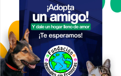 ADOPTA UN AMIGO EN EL CENTRO COMERCIAL HYPER JUMBO MALL