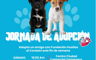 EL CCCT Y HUELLAS AL CORAZÓN SE UNEN EN UNA JORNADA ESPECIAL DE ADOPCIÓN RESPONSABLE